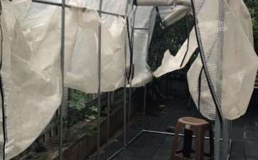 冬季多肉怎么保温保湿的方法