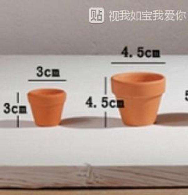 这种小号红陶盆 多肉种叶插苗