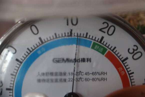 冬天怎么制作多肉大棚的方法