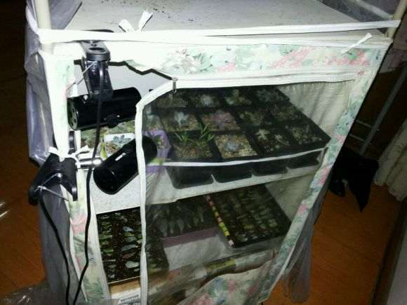 怎么用简易衣橱制作多肉大棚的方法