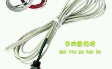 冬季怎么用保暖设备养护多肉的2个方法