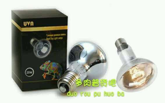 冬季多肉怎么用UVA加热灯保暖的方法