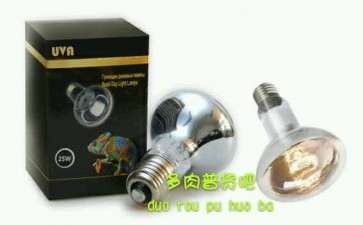 冬季多肉怎么用UVA加热灯保暖的方法