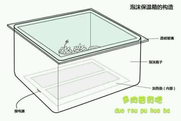 冬季多肉怎么使用保温箱的3个方法
