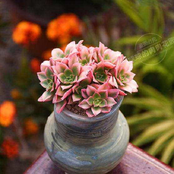 屋里怎么加加补光灯 不通风啊