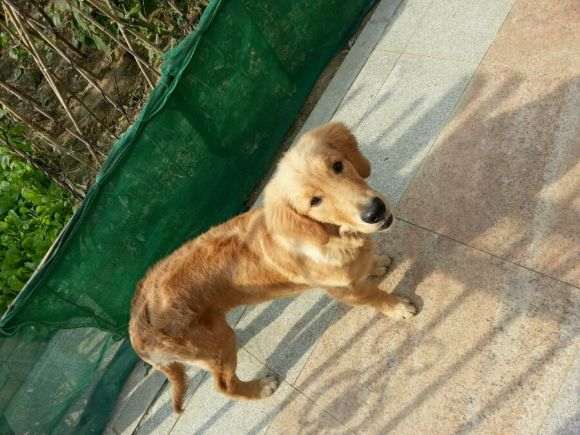 冬天多肉拿屋里晒不到太阳怎么办