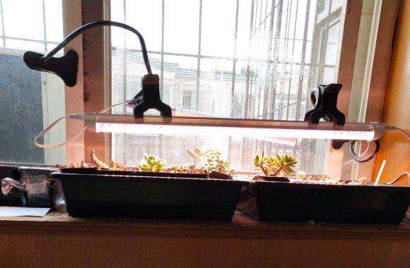 北方冬季 一天浇水多少合适