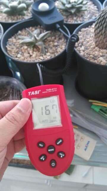 还有什么多肉植物灯啊