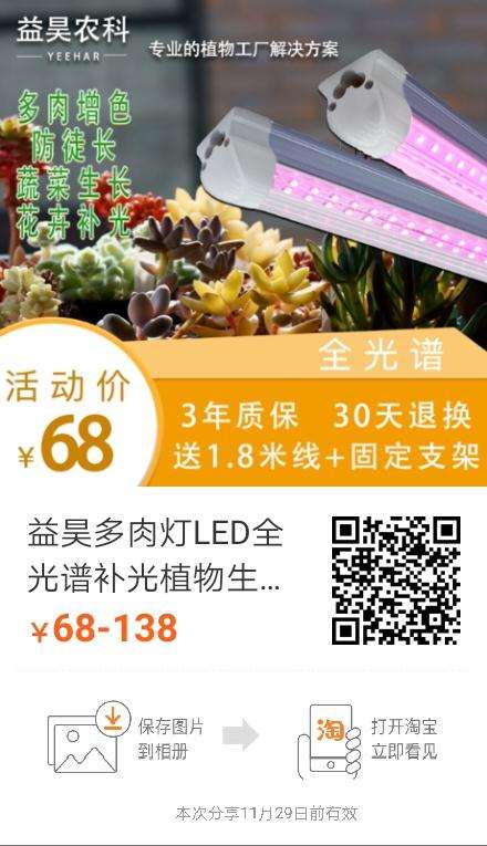 我自己做的多肉红蓝生长灯