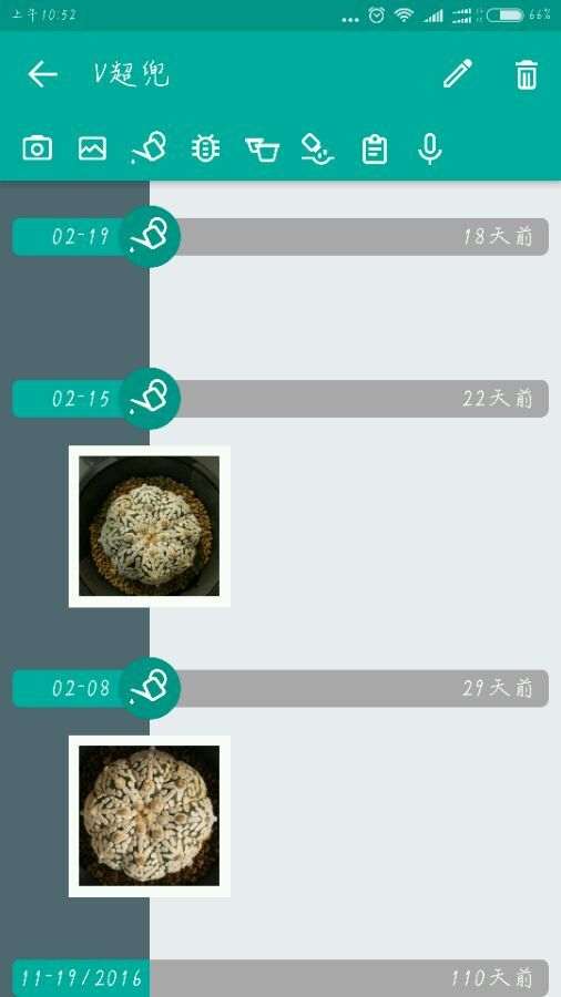 仙人球多肉在冬季可以断水吗