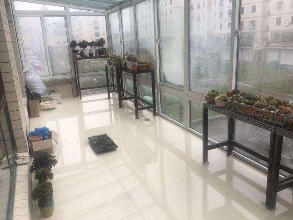 冬季光照不足 什么多肉补光灯效果好