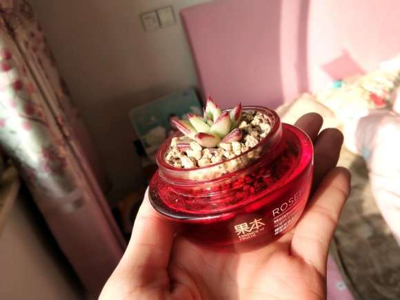 口红多肉终于上盆整理完了