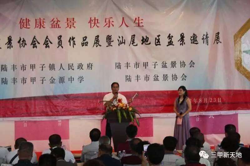 2017第二届剑川盆景展作品赏析