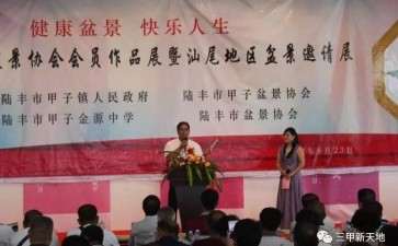 2017第二届剑川盆景展作品赏析