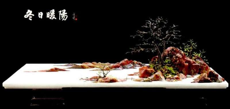 大家怎么评价黄大金先生的山水盆景