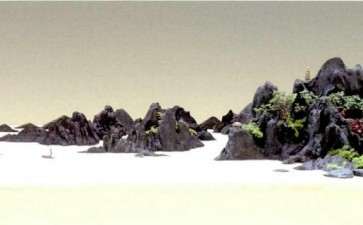 大家怎么评价黄大金先生的山水盆景