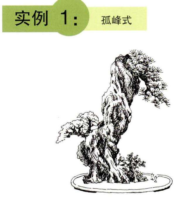 怎么制作孤峰式山水盆景的3个方法