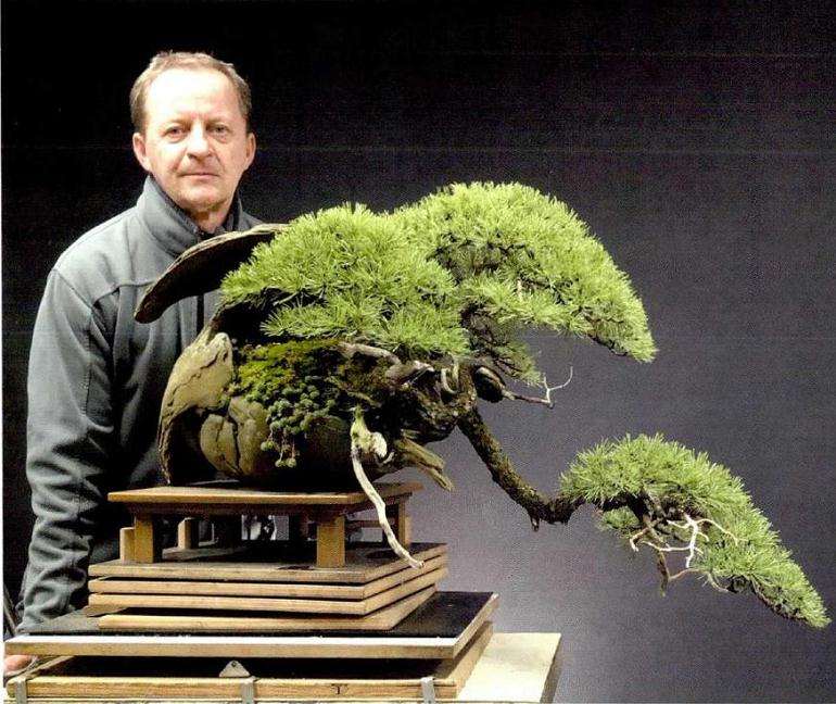 2019年世界盆栽艺术家社团名家作品赏