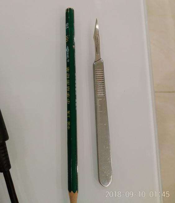 为什么老鸭柿下山桩嫁接并不难