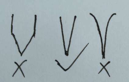 为什么老鸭柿下山桩嫁接并不难