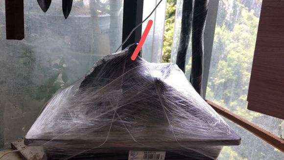 老鸦柿下山桩怎么养护