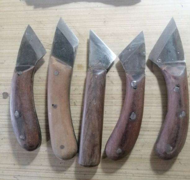 为什么老鸦柿盆景嫁接比别的树种难 图片