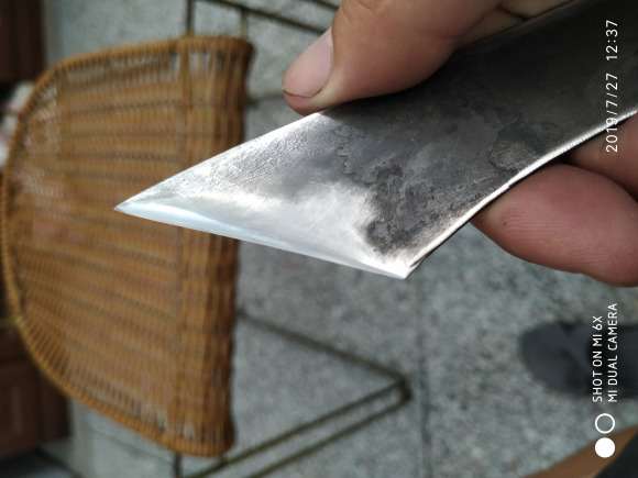 为什么老鸦柿盆景嫁接比别的树种难 图片