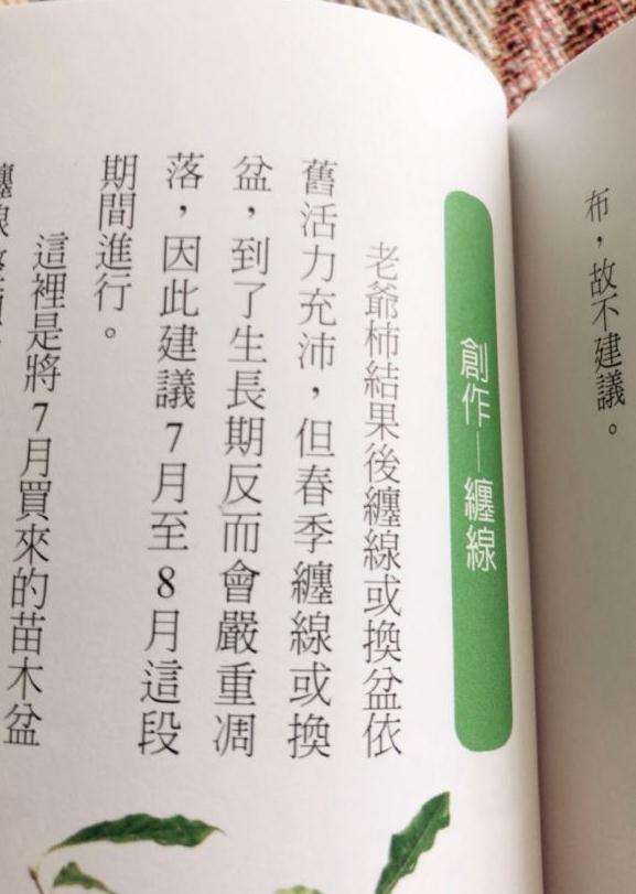 老鸦柿盆景几月份换盆比较好