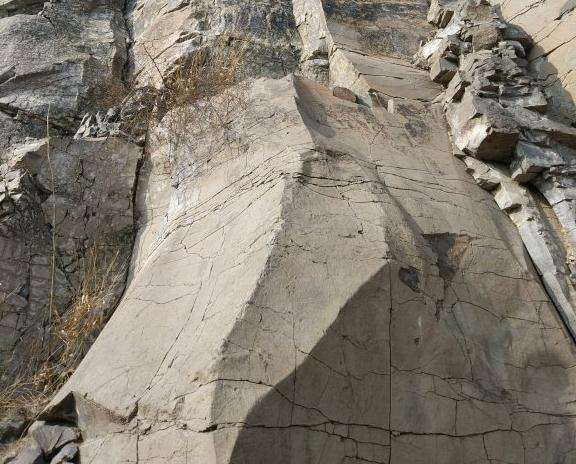 养老鸦柿下山桩的好土