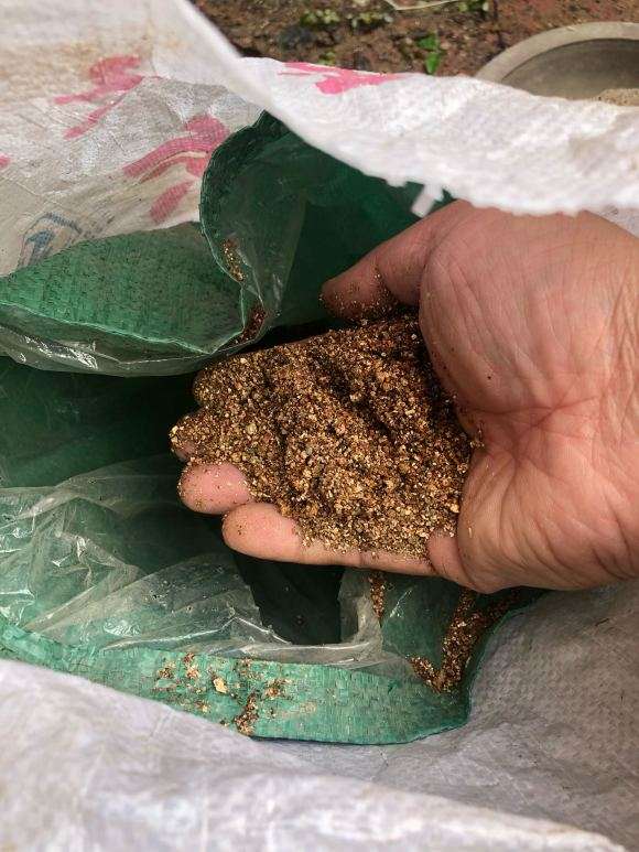 图解 老鸦柿下山桩怎么高压的9个步骤