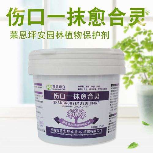 老鸦柿下山桩生桩伤口涂什么最好