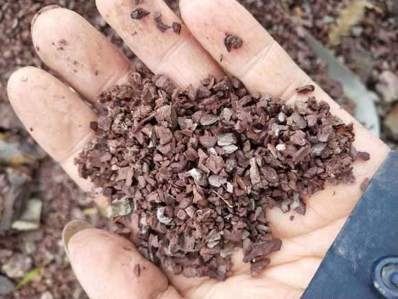 老鸦柿下山桩能用风化石种吗