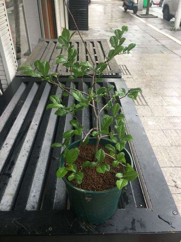 老鸦柿下山桩高压成功