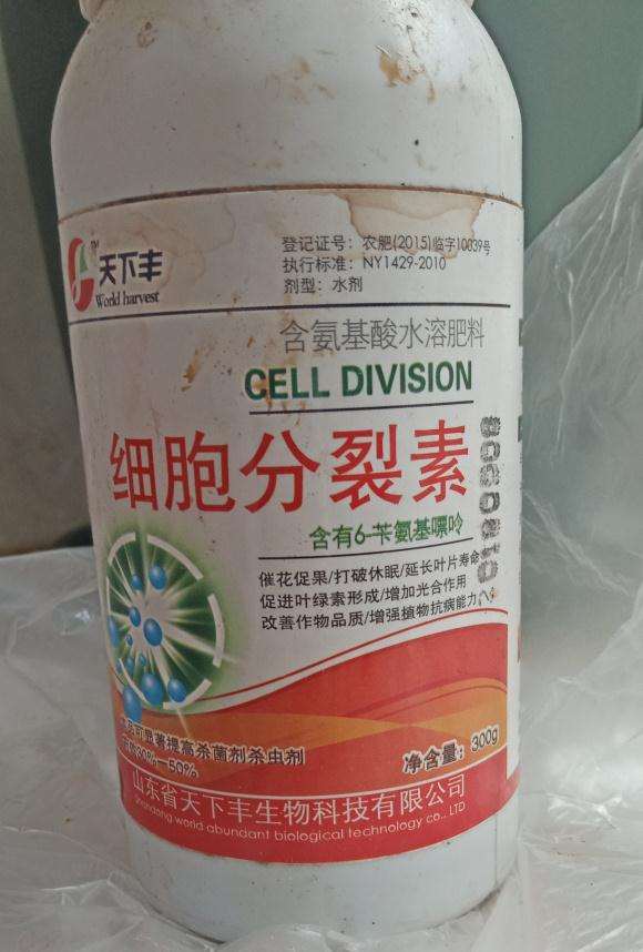 怎么自配金桔盆栽的杀虫剂