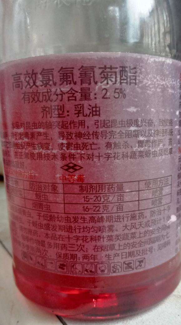 怎么自配金桔盆栽的杀虫剂
