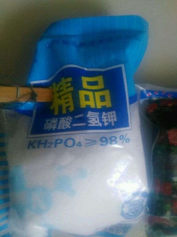 龟背竹怎么不长新叶子呢