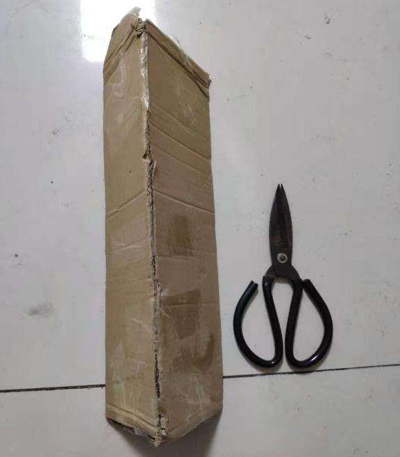 网购的小龟背竹幼苗