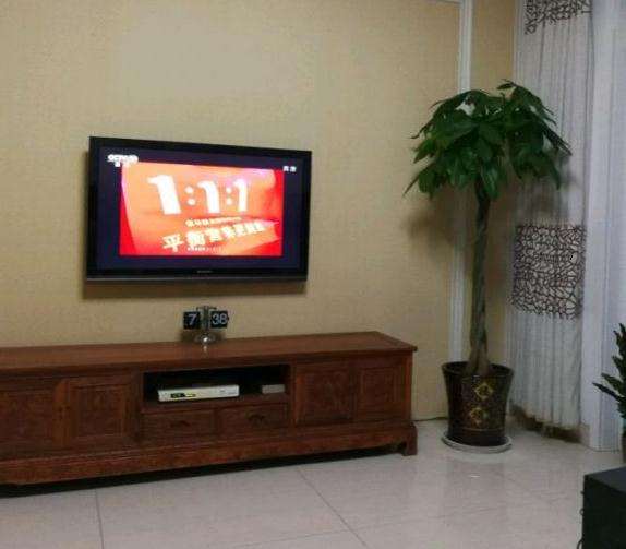 发财树盆景太高对家居风水有影响吗