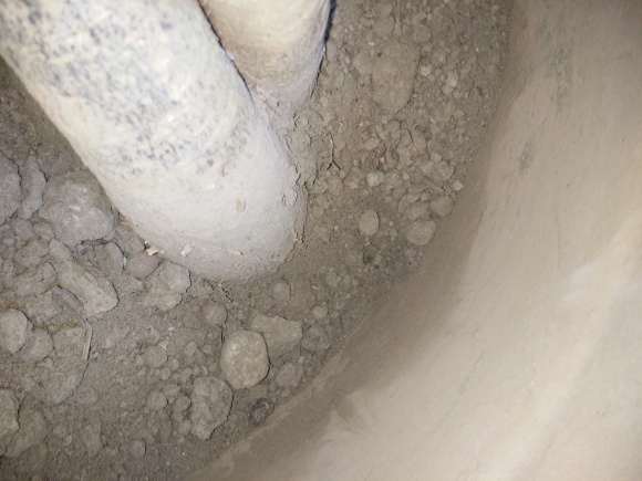 五辫发财树叶子枯黄 怎么办