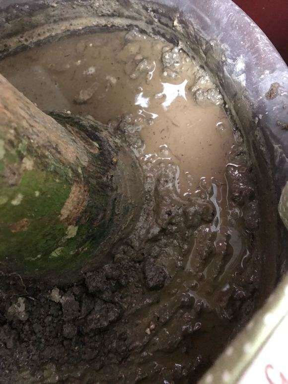 买来10天的发财树 浇水渗不下去 怎么办