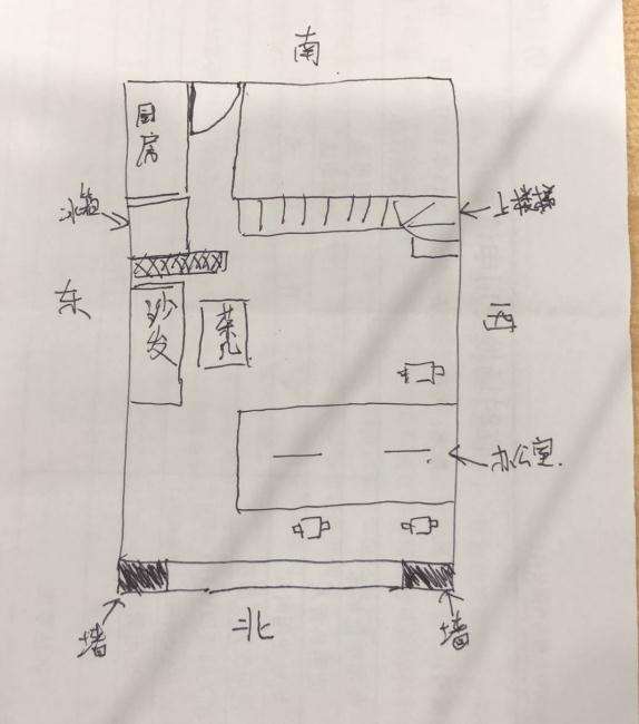 发财树盆景应该放在哪里