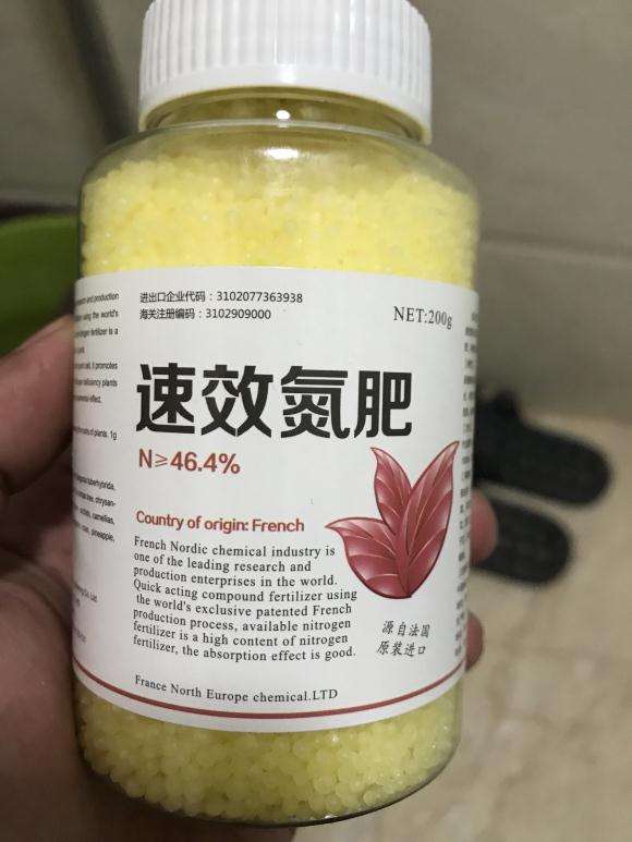发财树用速效氮肥 可以吗