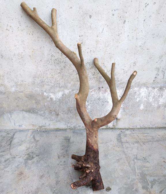 油茶下山桩用河沙或土