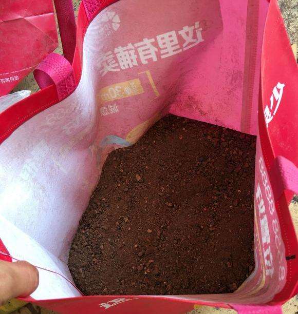 为什么金弹子用煤渣要先泡水