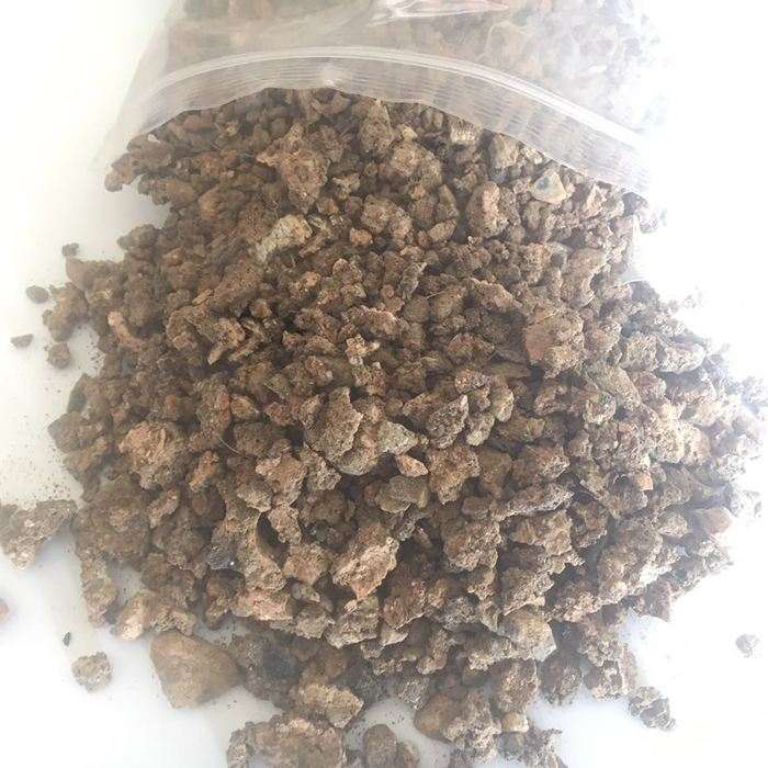 我一直煤渣和营养土养金弹子下山桩的