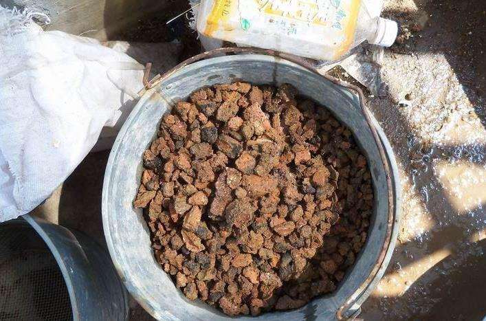 用蜂窝煤渣养金豆下山桩