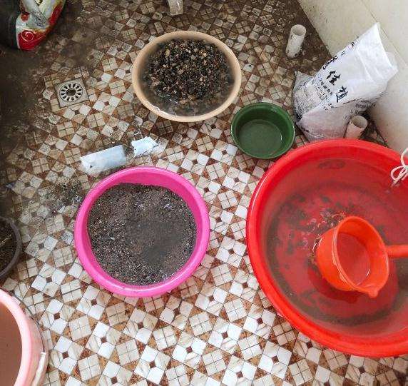 煤渣种下山桩生桩