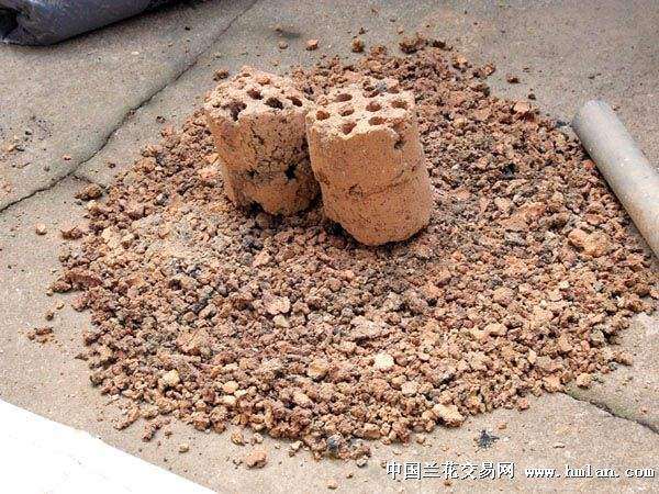 纯煤渣养下山桩熟桩