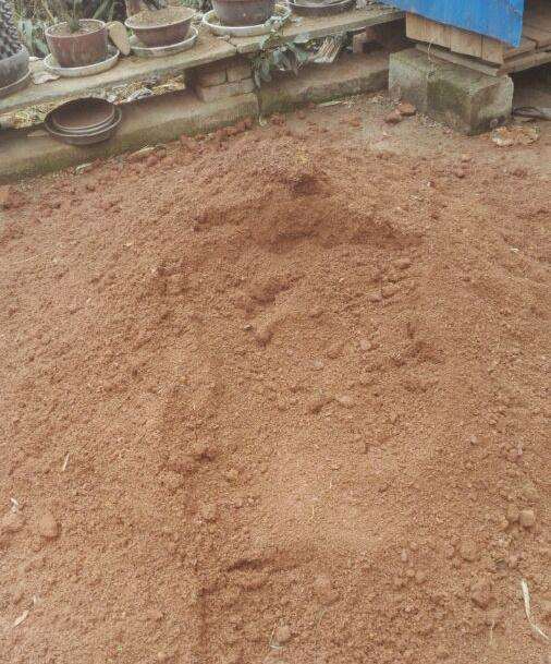 金弹子下山桩生桩怎么配土的方法