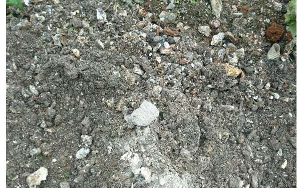 怎么捡煤渣种金弹子下山桩的方法